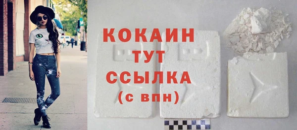 дживик Абинск