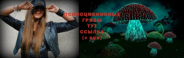 apvp Михайловка