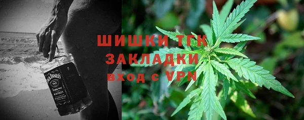 дживик Абинск